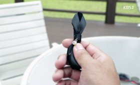 Hairclip