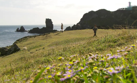 (Jeju) Island