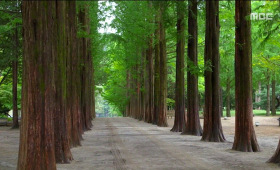 Namiseom Island