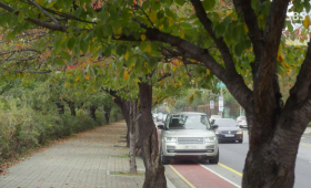 Traffic Rule: Parking Anywhere Anytime