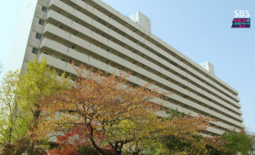 Apartment Complex